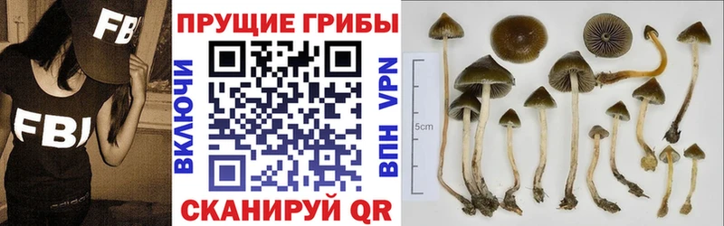 Псилоцибиновые грибы ЛСД  где купить наркоту  Коркино 